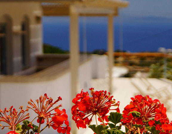 Hôtel Petali Village à Sifnos